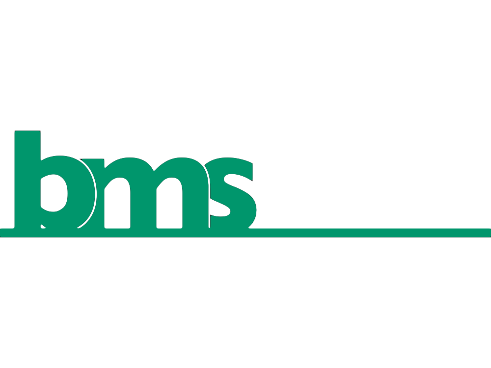 bms GmbH